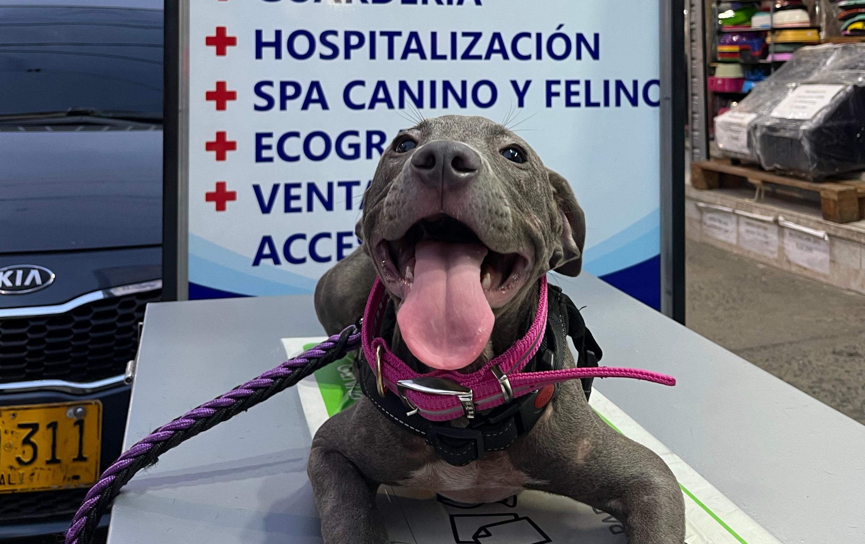 Revisión general a paciente